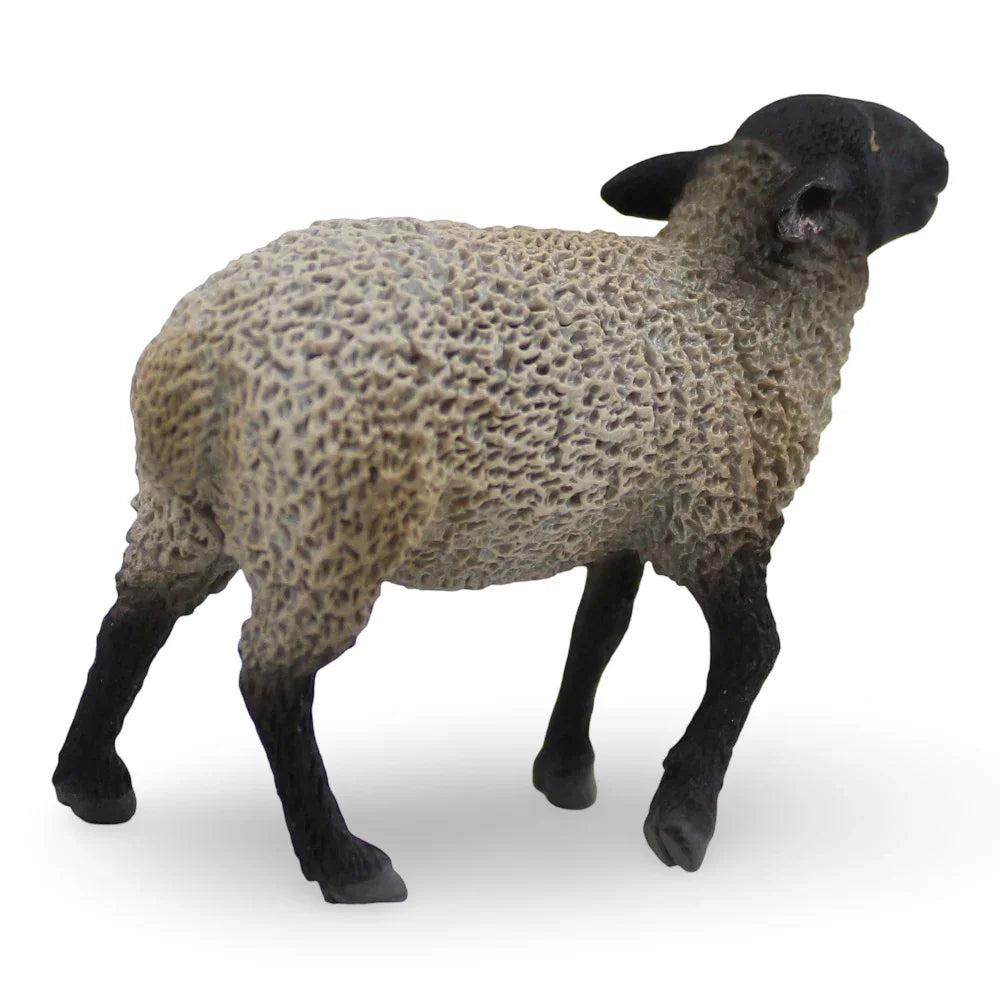 مجسم خروف صَفُولْك من CollectA