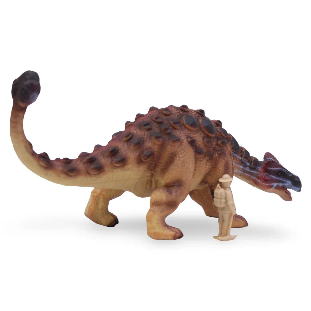 CollectA Ankylosaurus Figurine