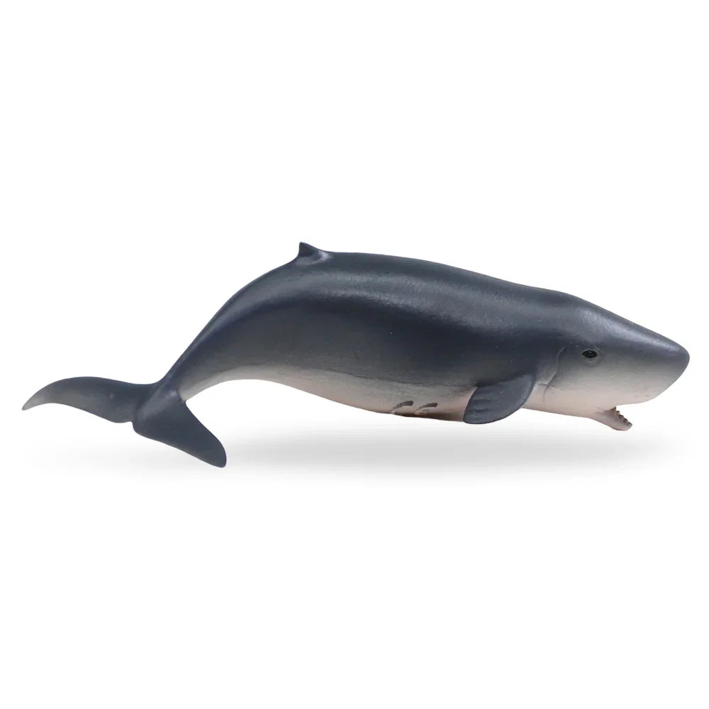 CollectA Pygmy Sperm Whale Figurine