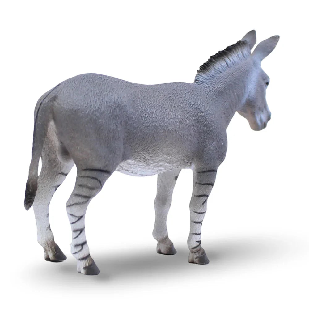 CollectA African Wild Ass Figurine