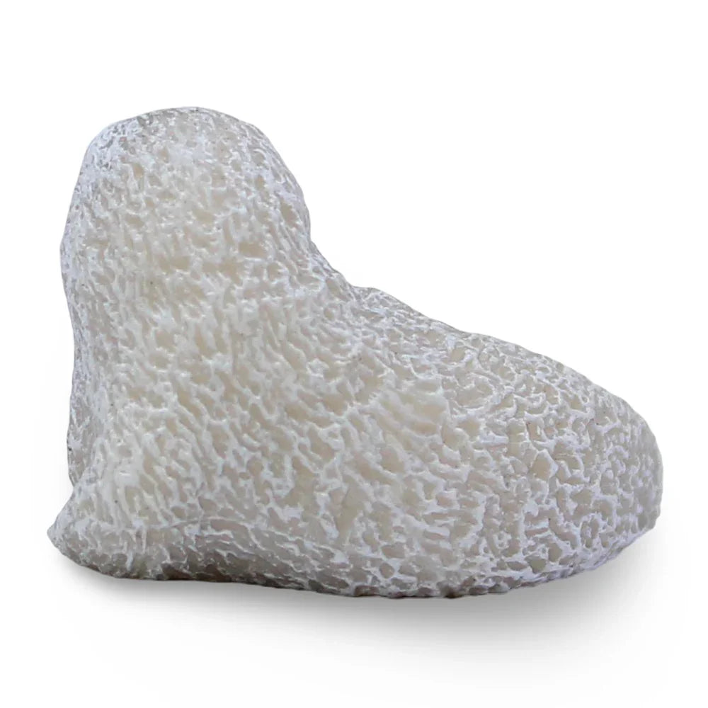 CollectA Spotted Seal Pup Figurine