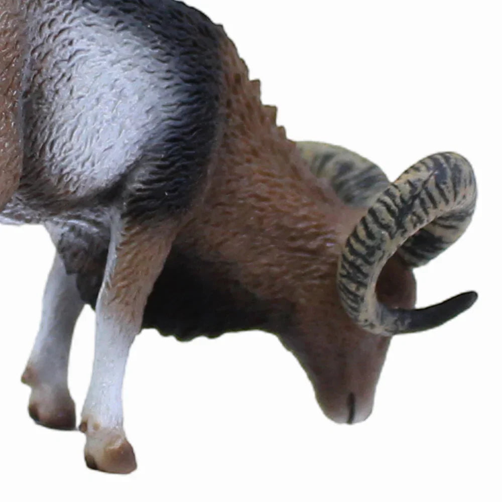 CollectA European Mouflon Figurine