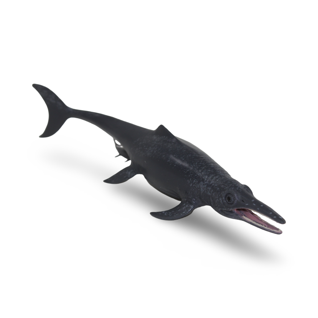 CollectA Temnodontosaurus Platyodon Figurein - Toys