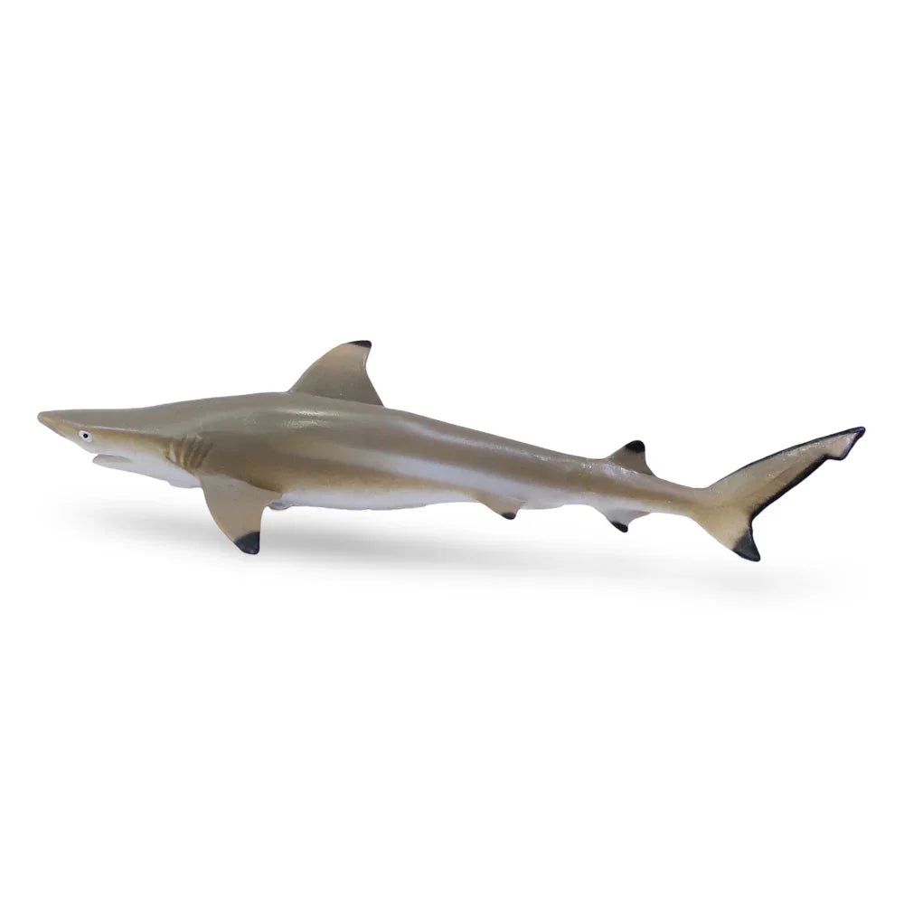 CollectA Blacktip Reef Shark Figurine - Toys