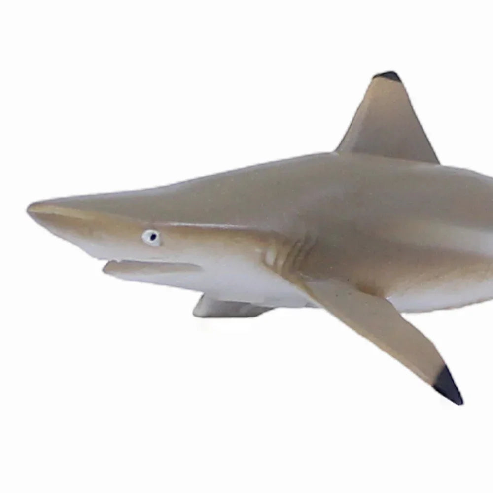 مجسم سمكة قرش الشعاب المرجانية من كوليكتا (CollectA Blacktip Reef Shark)