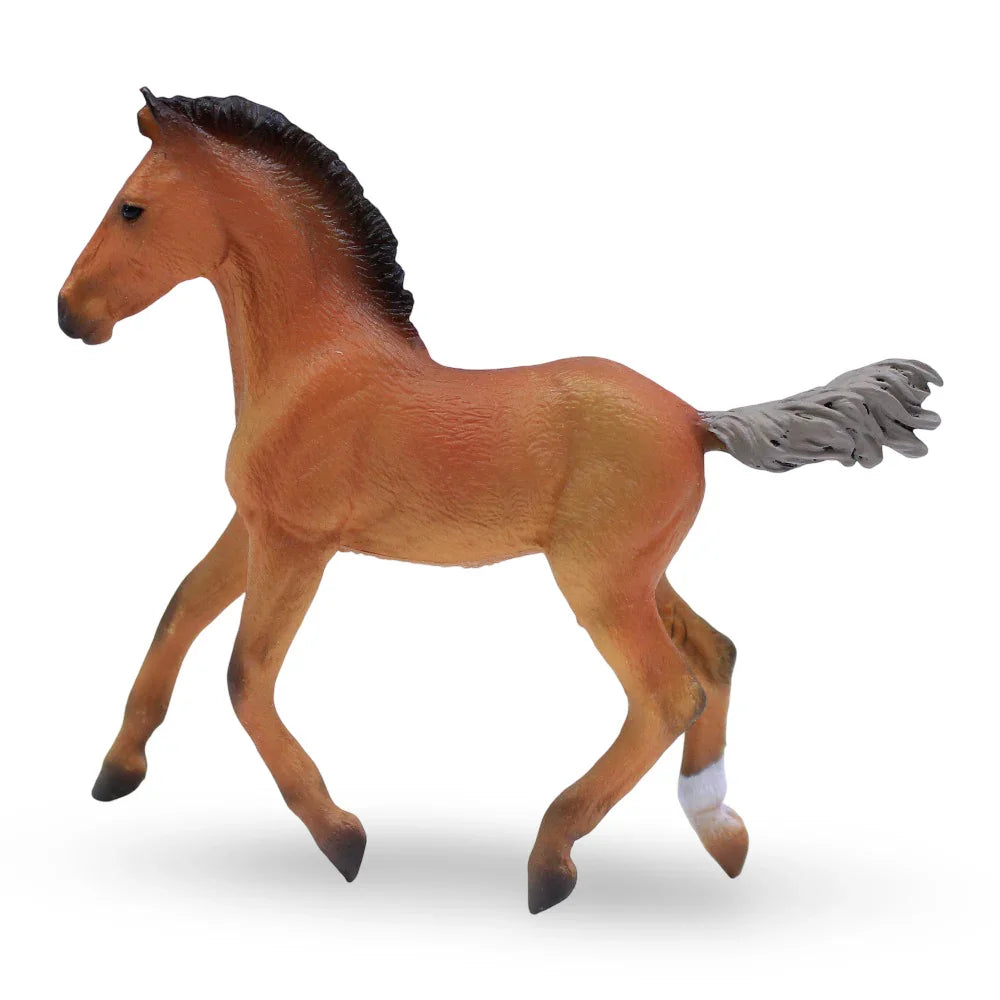 CollectA Hanoverian Foal Figurine