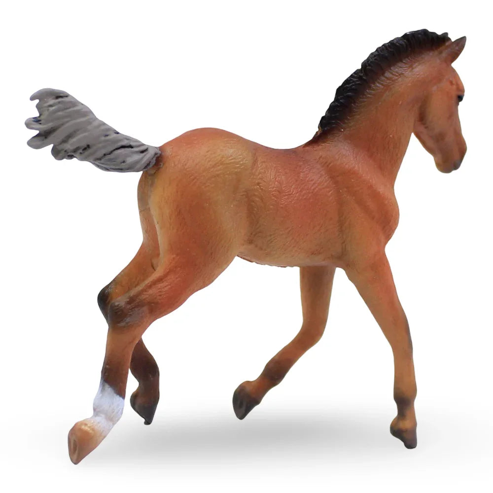 CollectA Hanoverian Foal Figurine