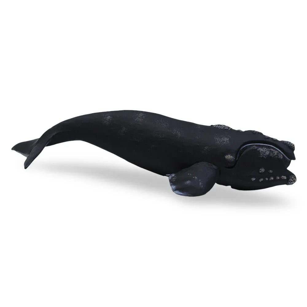 CollectA Right Whale Figurine