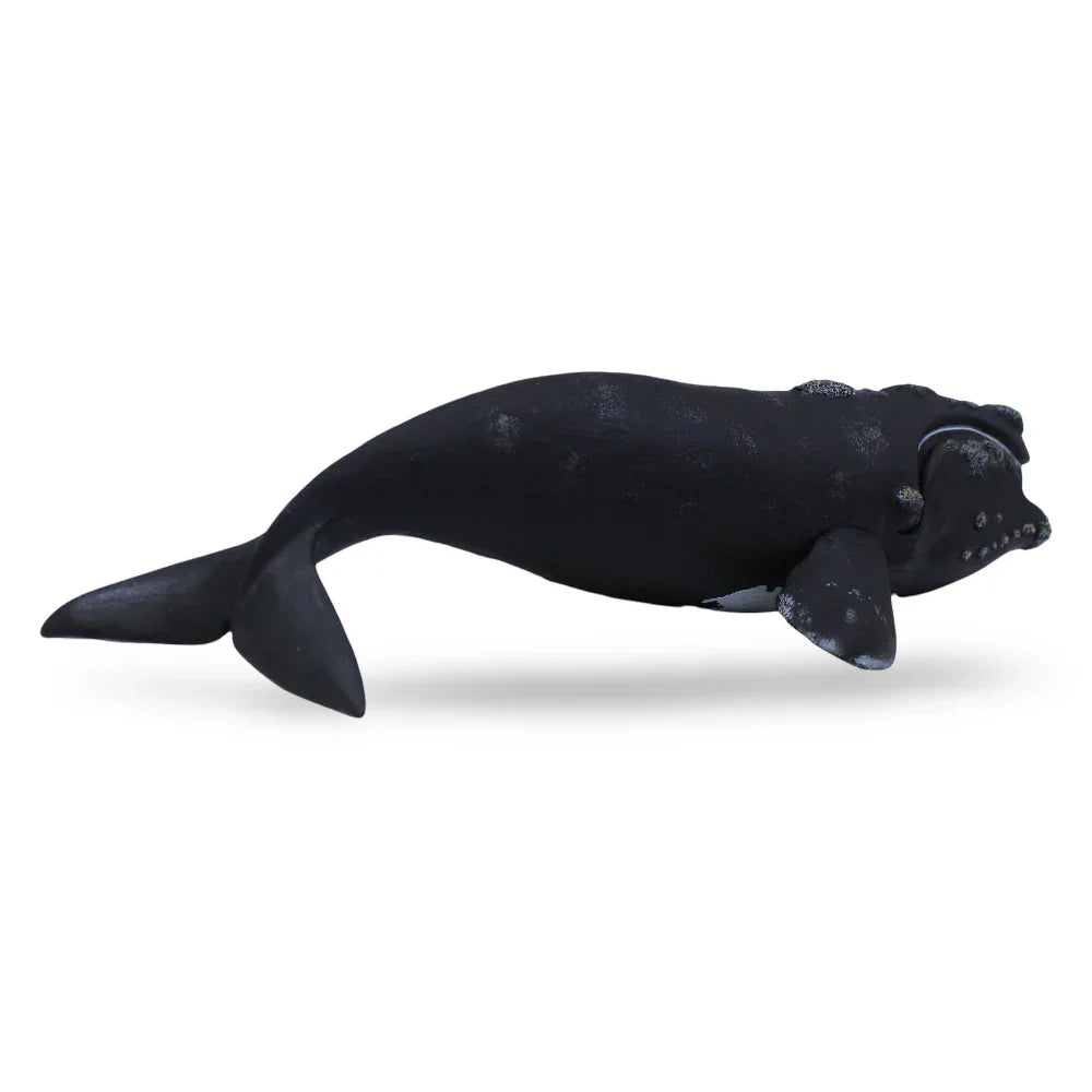 CollectA Right Whale Figurine