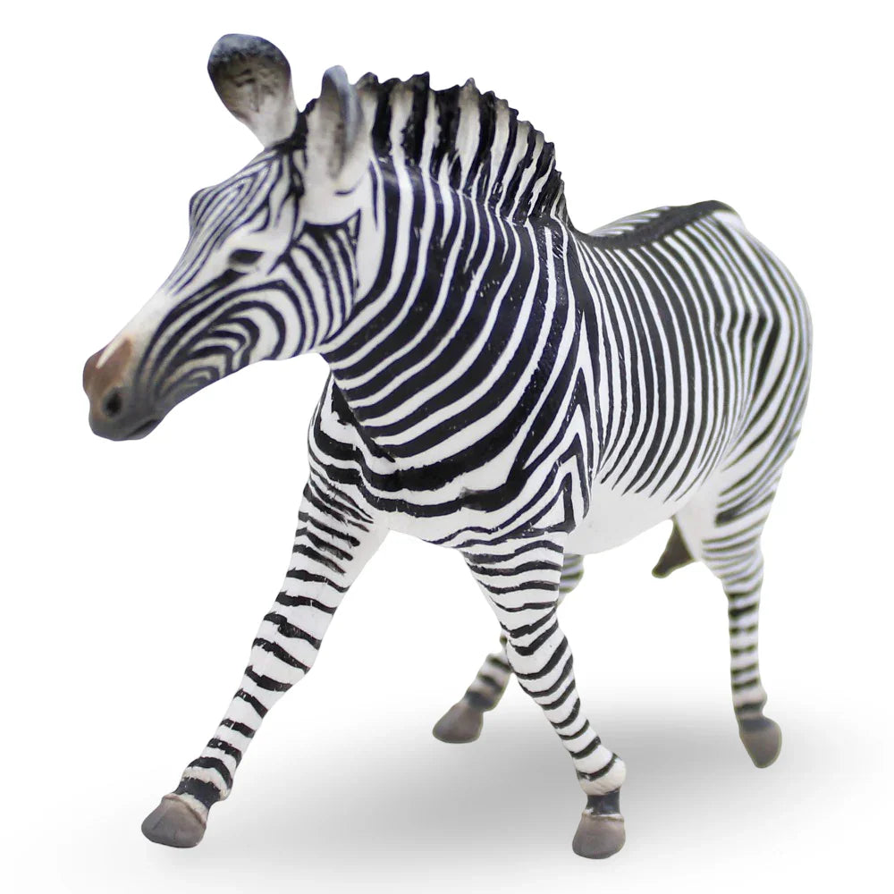 CollectA Grevy’s Zebra Figurine