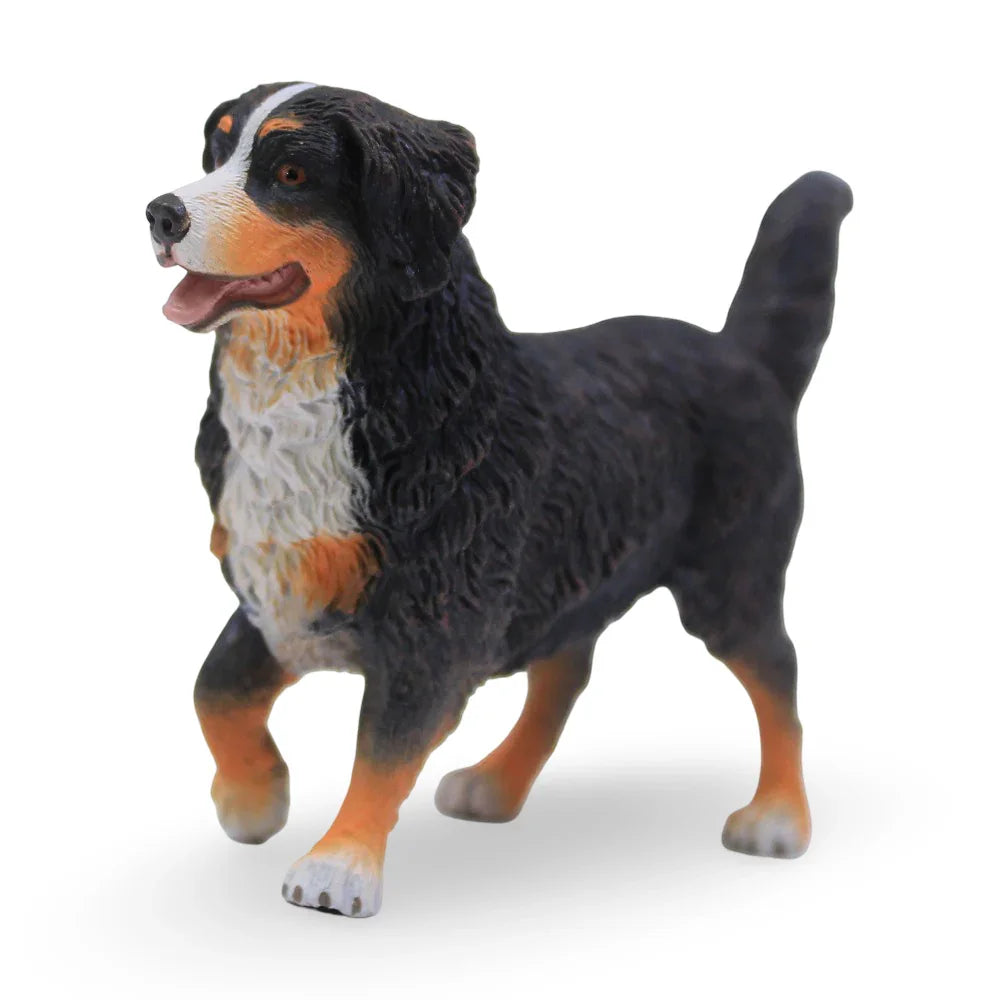CollectA Bernese Mountain Dog Figurine - Toys
