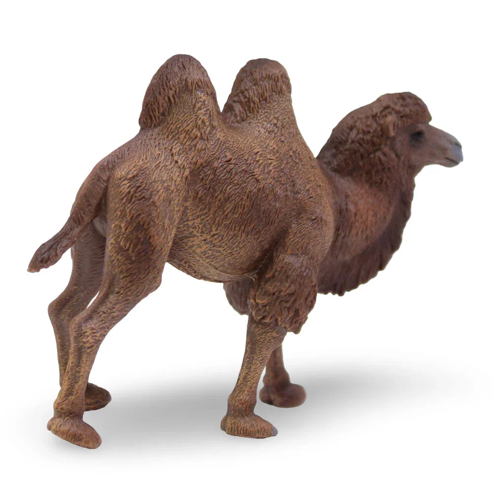 مجسم جمل ذو سنامين من كوليكتا