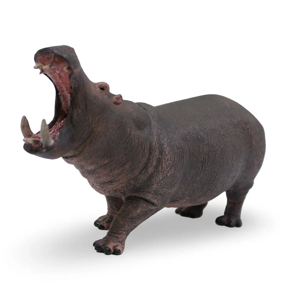 CollectA Hippopotamus Figurine - Toys