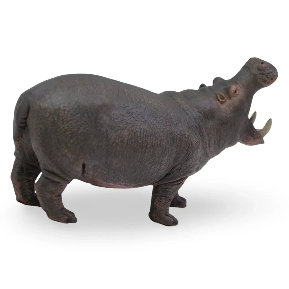 CollectA Hippopotamus Figurine