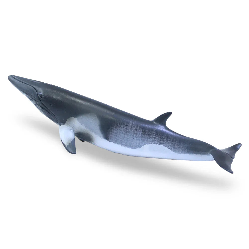 CollectA Minke Whale Figurine - Toys