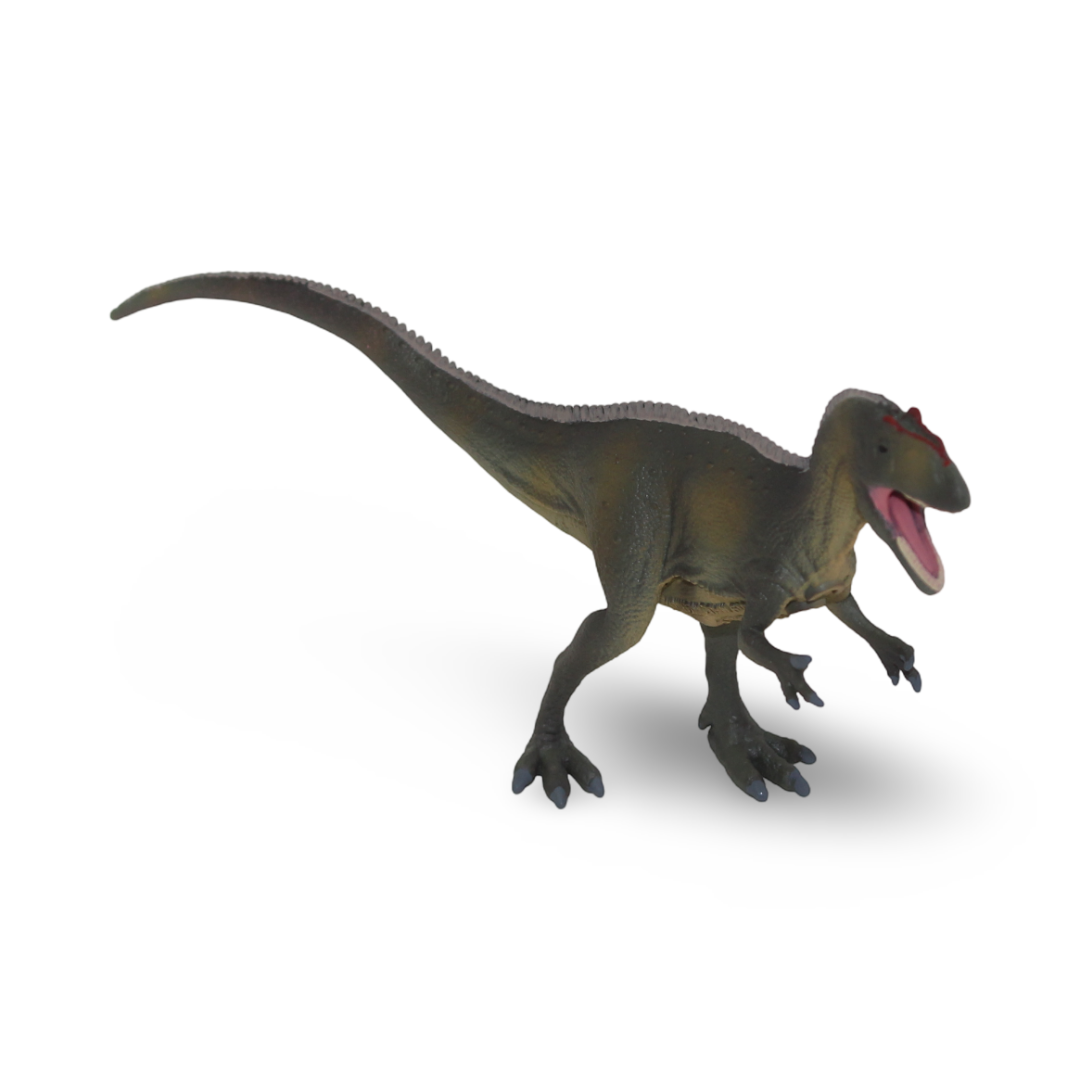 CollectA Allosaurus Figurein - Toys
