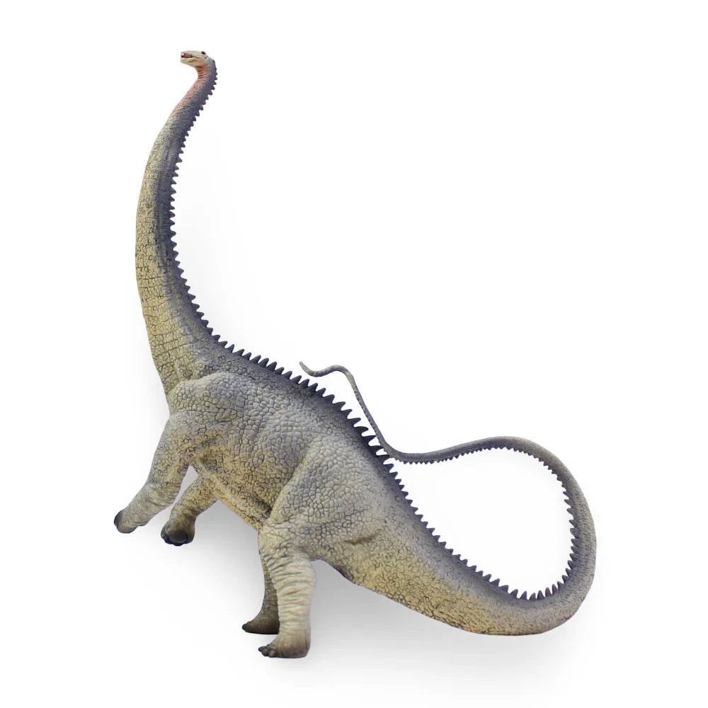 CollectA Diplodocus Figurine