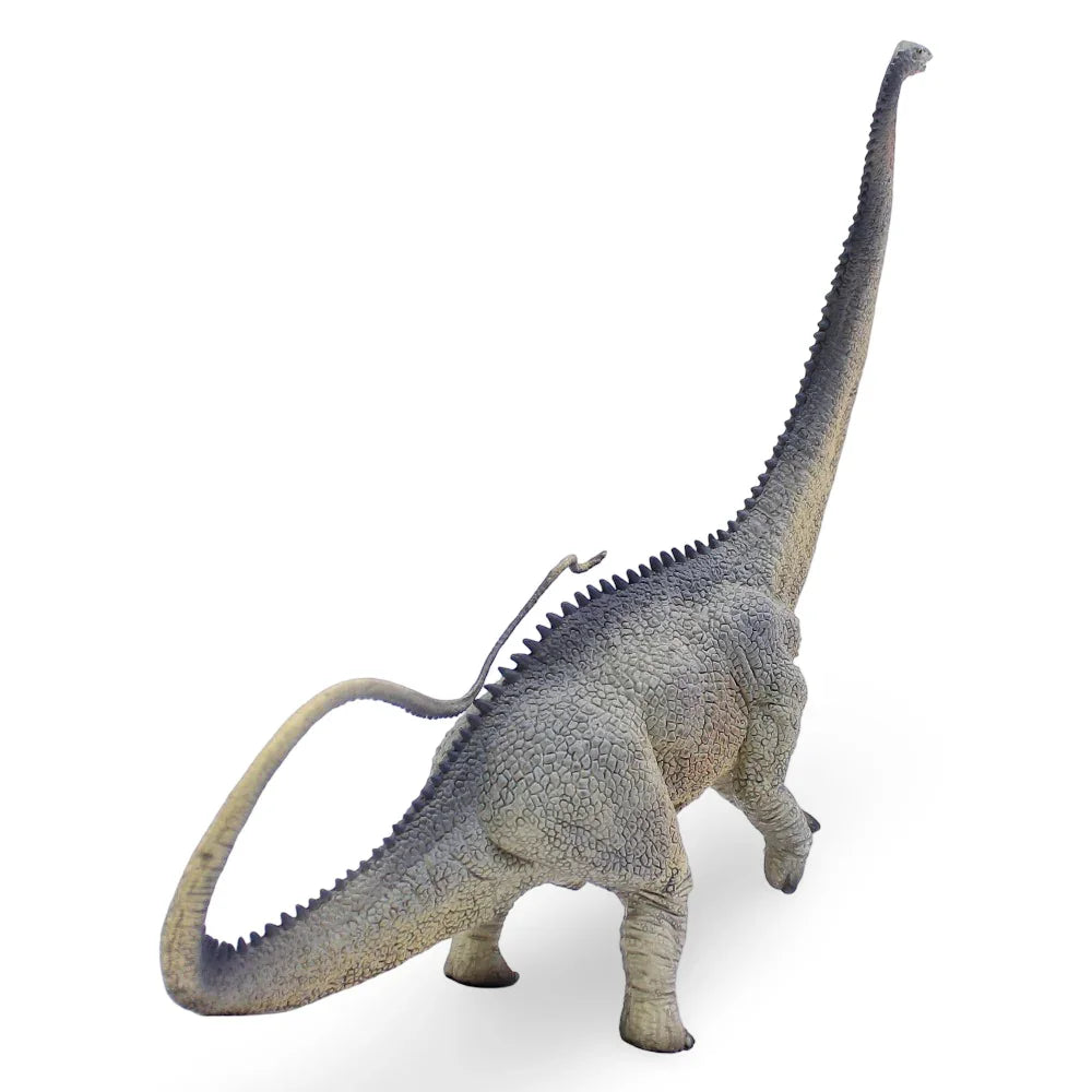 CollectA Diplodocus Figurine