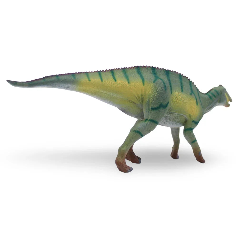 تمثال كامويصوراس من كوليكتا