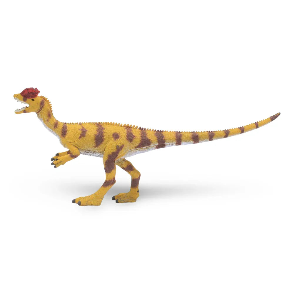 CollectA Dilophosaurus Figurine - Toys