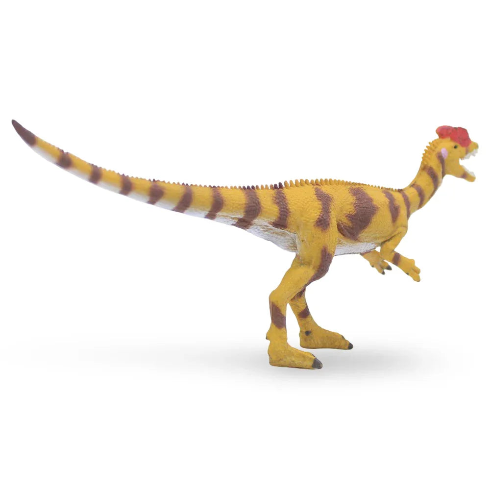 CollectA Dilophosaurus Figurine