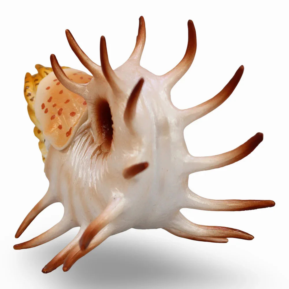 Cooperoceras Figurine