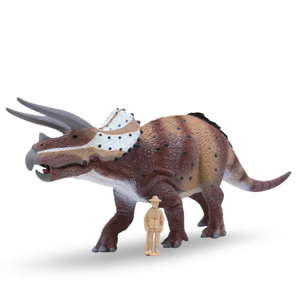CollectA Triceratops Horridus Figurine