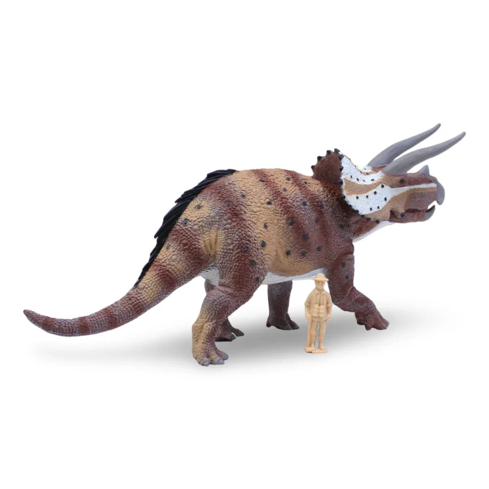 CollectA Triceratops Horridus Figurine