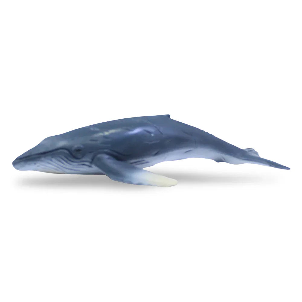 CollectA Humpback Whale Calf Figurine - Toys