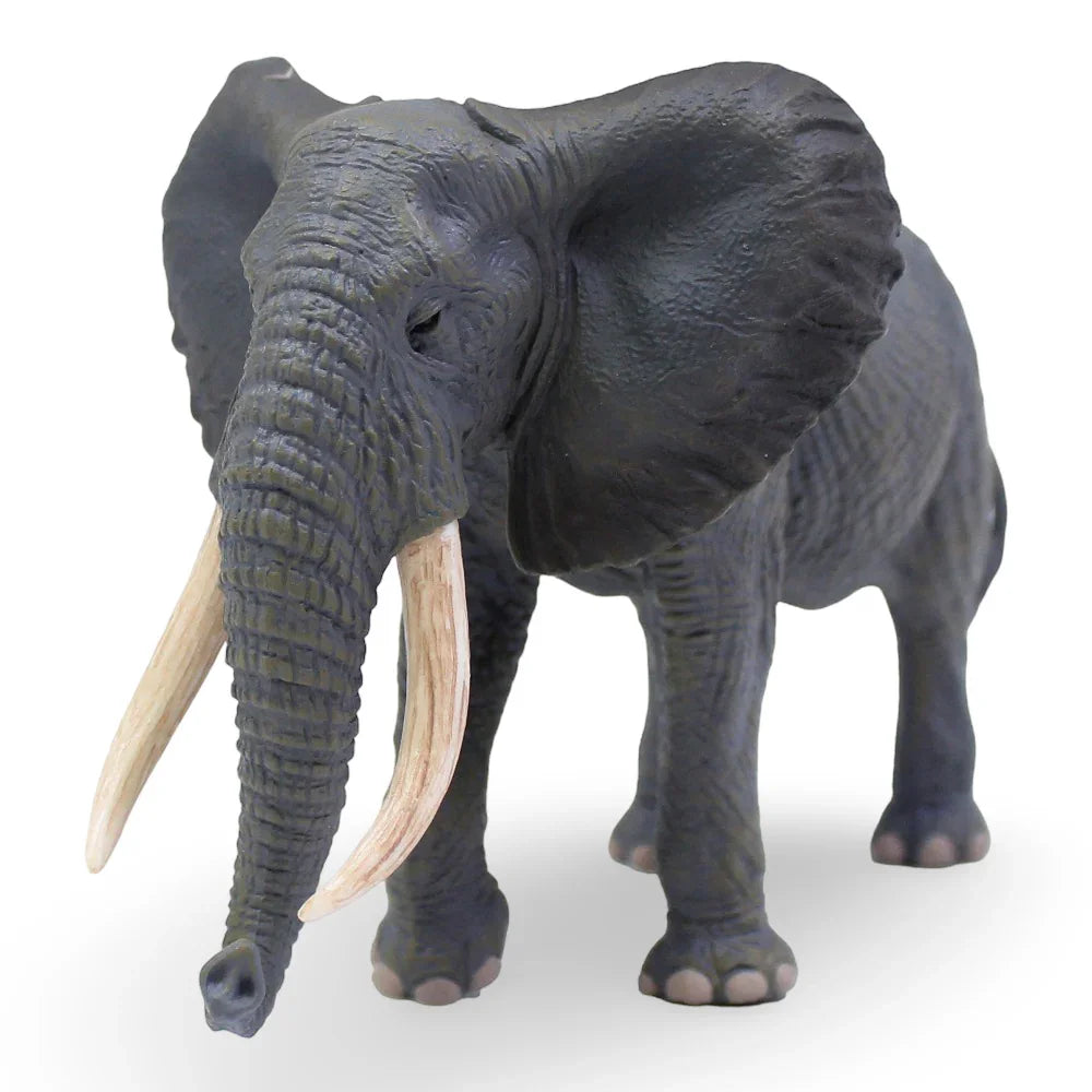 CollectA African Elephant Figurine