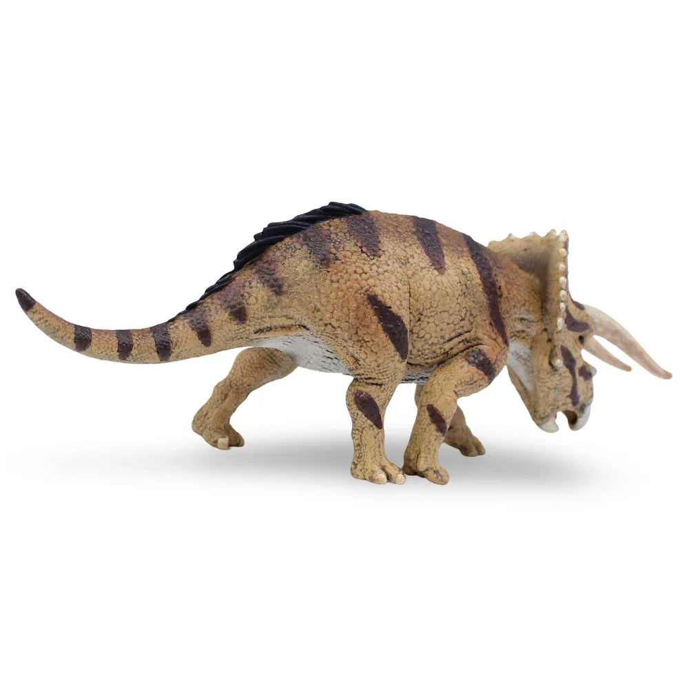 CollectA Triceratops Horridus Figurine