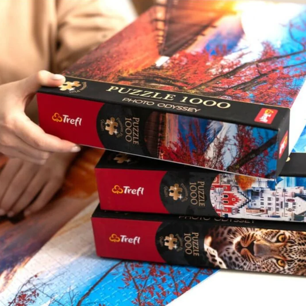 Trefl Puzzle Premium Plus Quality – Bode Museum in Berlin Germany 1000 Pcs