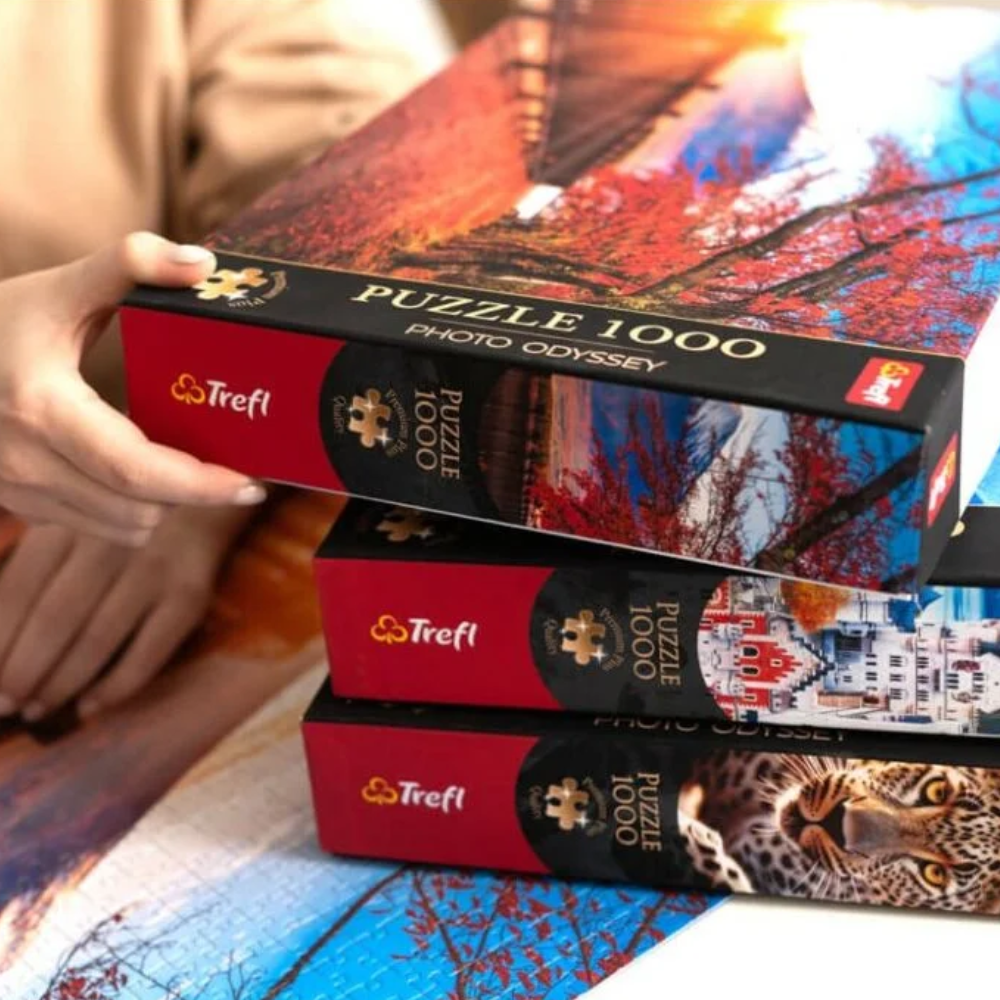 Trefl Puzzle Premium Plus Quality – Eiffel Tower in Paris France 1000 Pcs