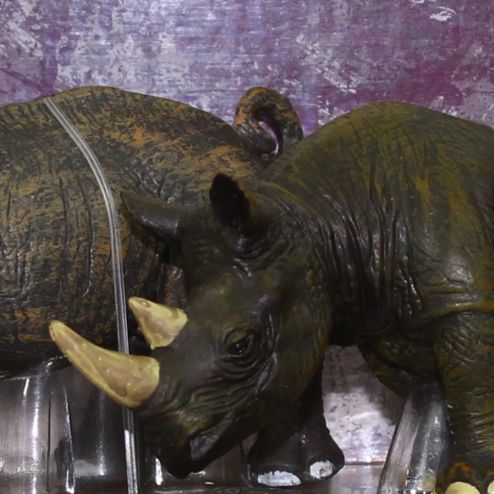 Animal Kingdom Set - Rhinos