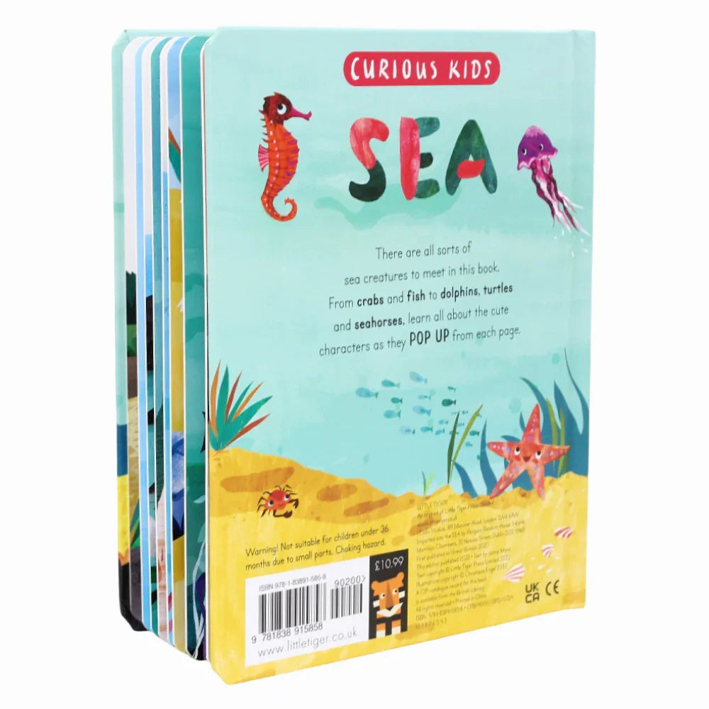 Curious Kids: Sea
