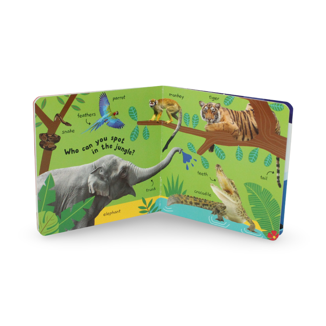 50 First Words Animals Board Book - Assortments - OKO