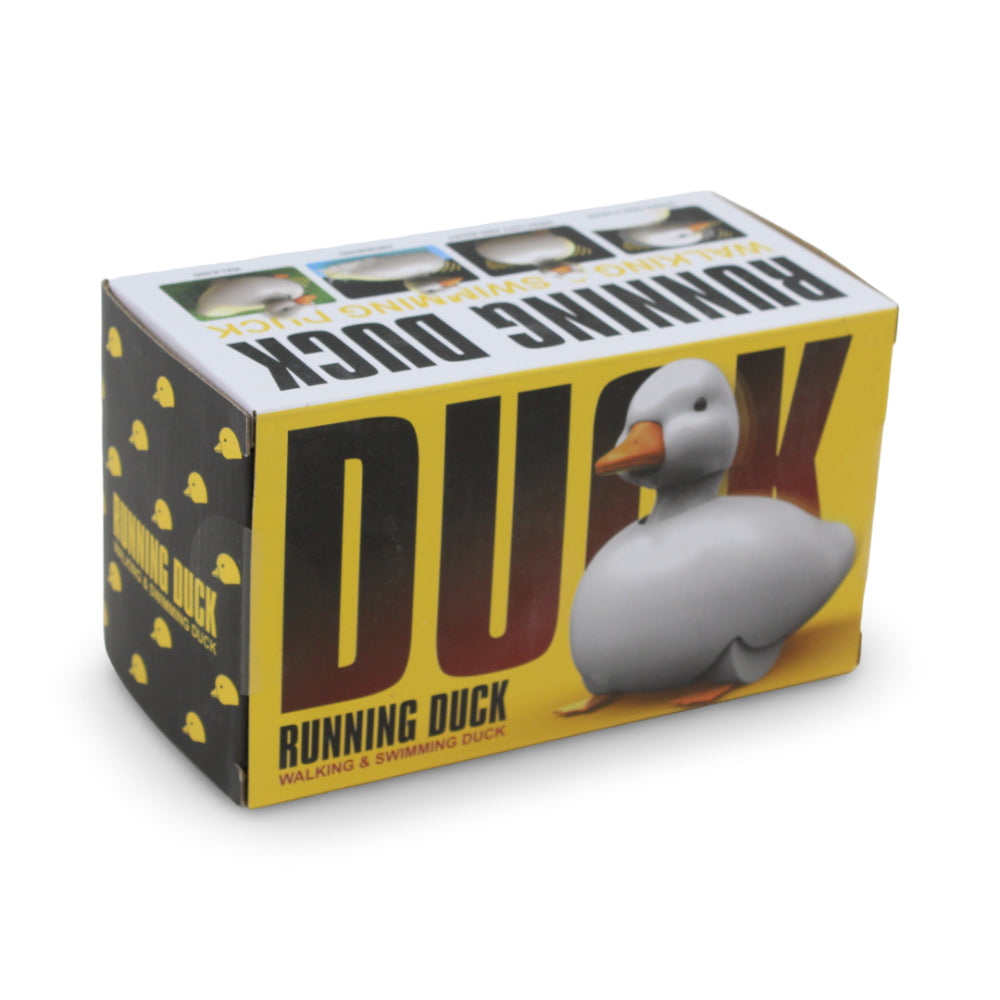 Duck – White
