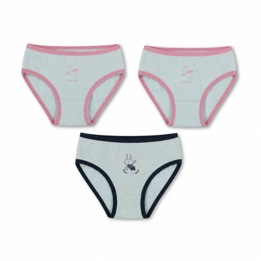 Girls Cotton Printed Panties – Pack Of 3