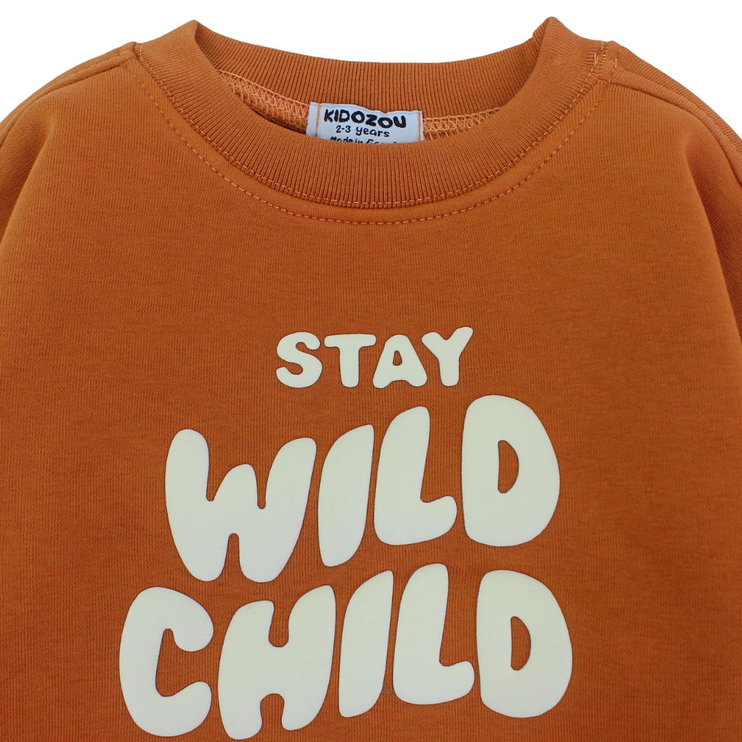 Baby Boys Sweatshirt – Brown with WILD CHILD Print