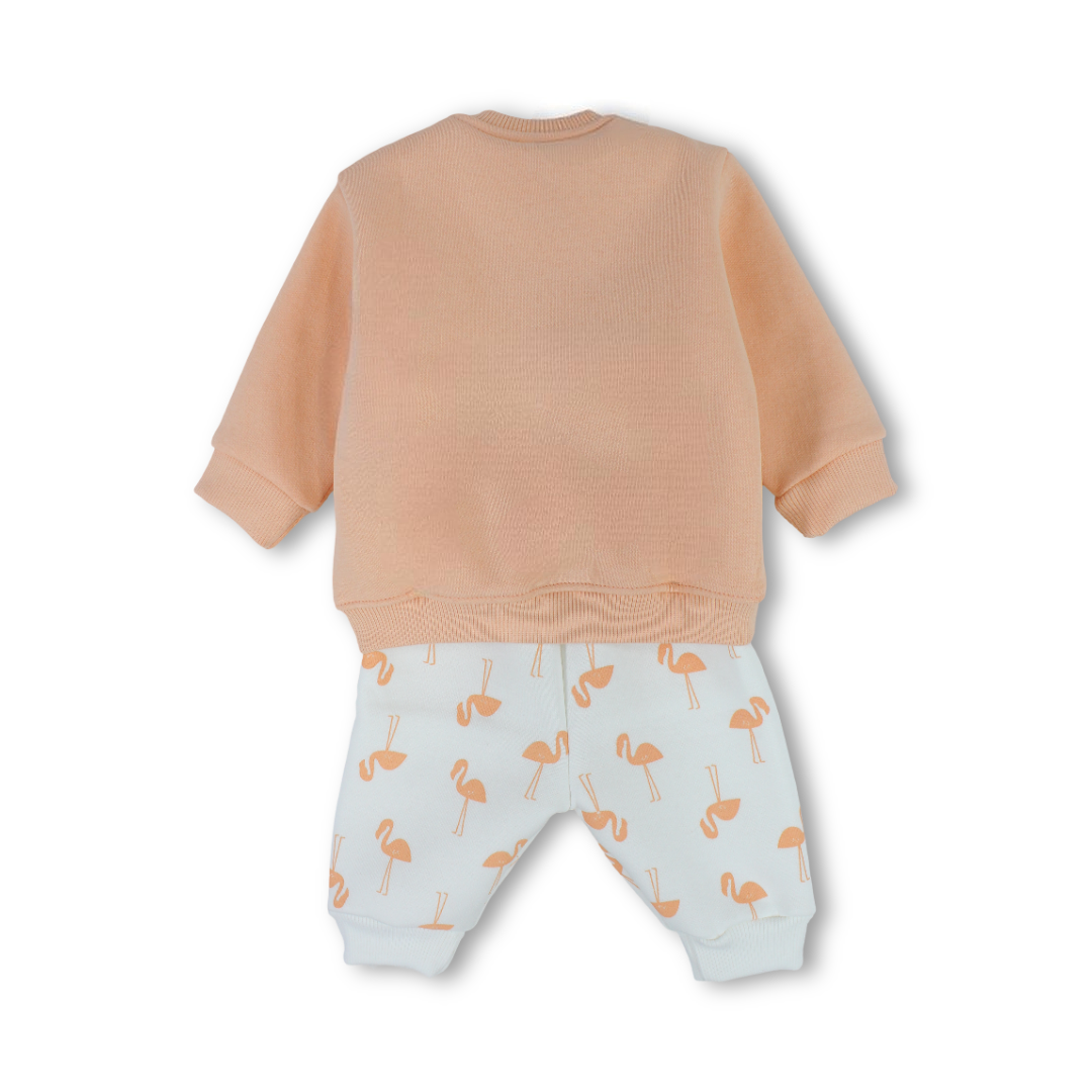 Baby Girls Long-Sleeved Pajama – Salmon with Flamingo Print
