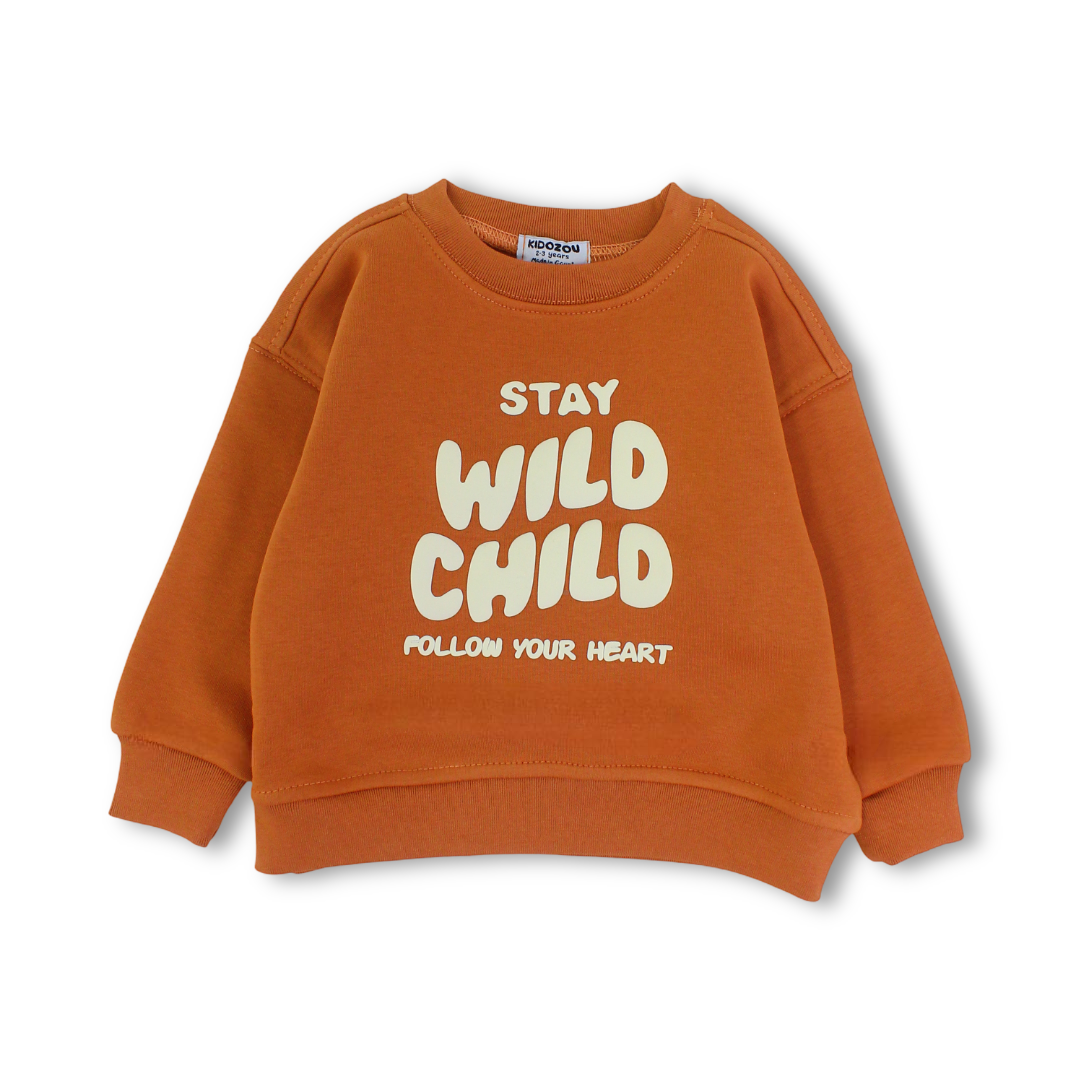 Baby Boys Sweatshirt – Brown with WILD CHILD Print