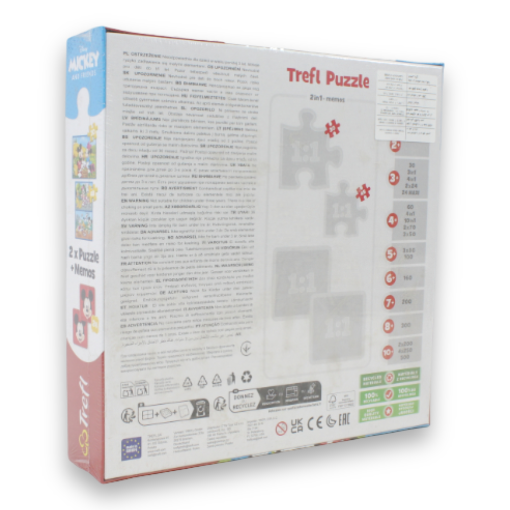 2-in-1 Memory Game