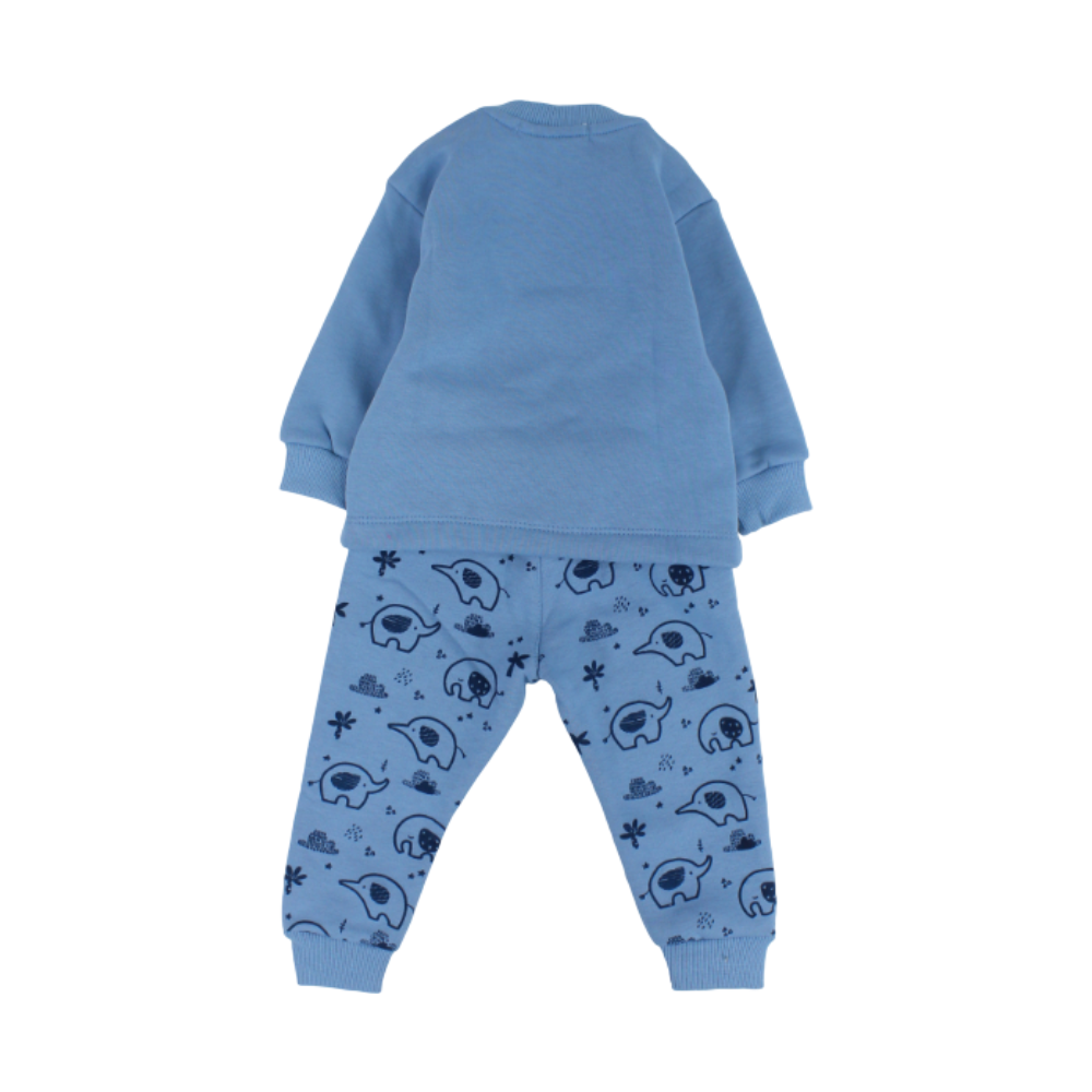 Baby Boys Long-Sleeved Pajama Set – Baby Blue with Elephants Print