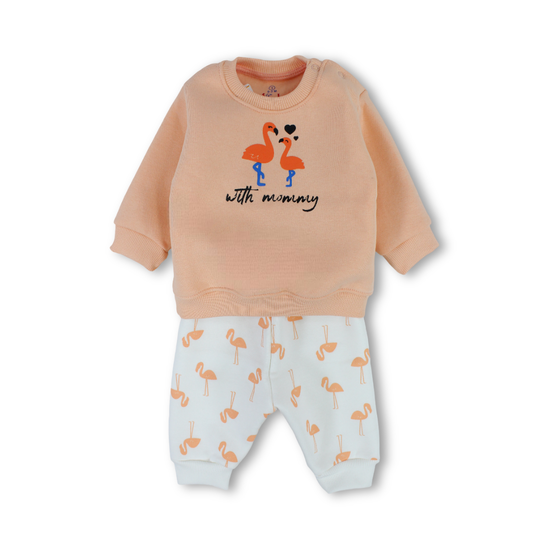Baby Girls Long-Sleeved Pajama – Salmon with Flamingo Print