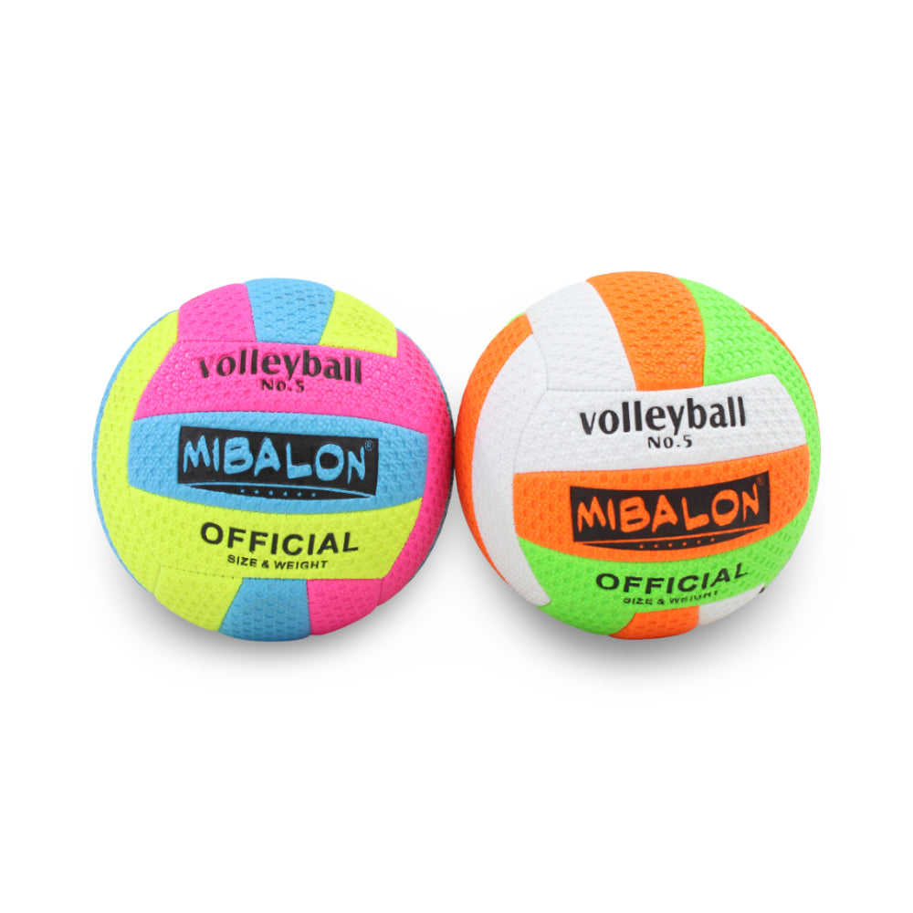 Fluorescent Volleyball