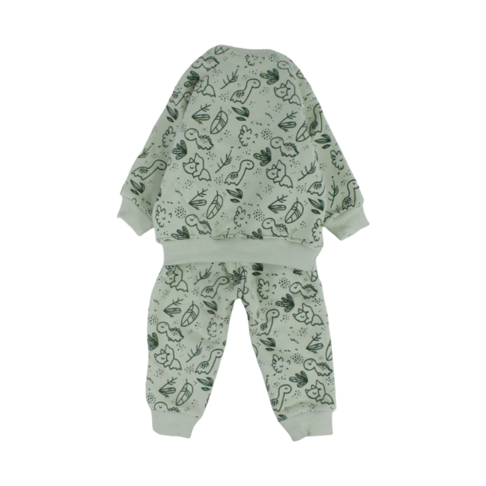 Baby Boys Long-Sleeved Pajama Set – Mint with Dinosaurs Print