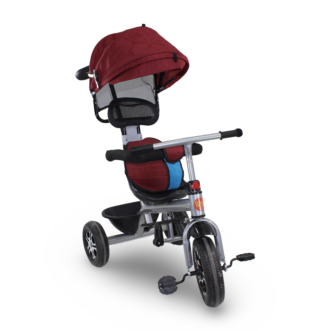 Children's Tricycle with Removable Sun Roof