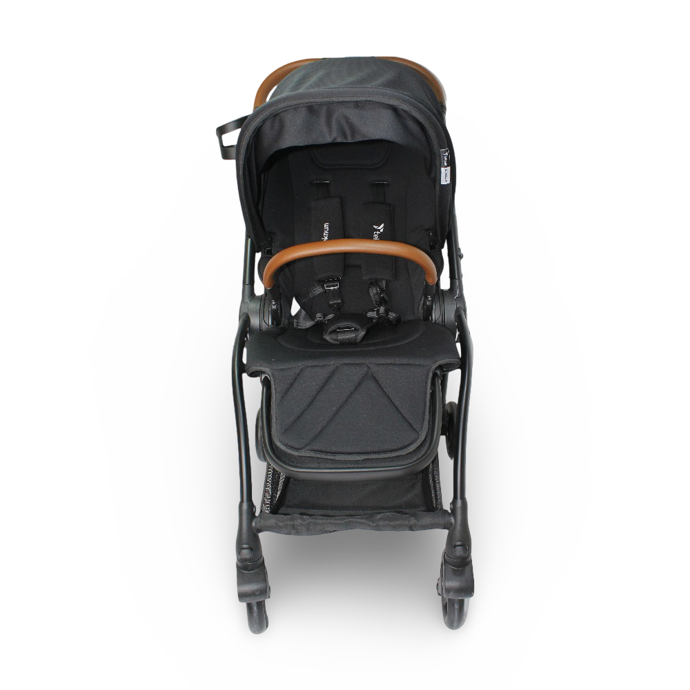 Baby Stroller with Adjustable Canopy and Storage Basket