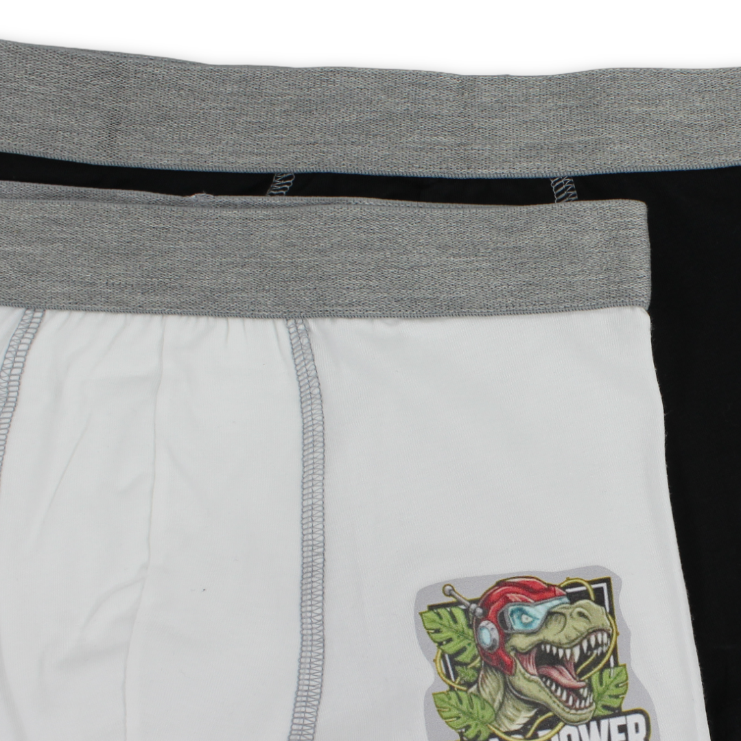 Boys Cotton Boxer – Pack Of 2