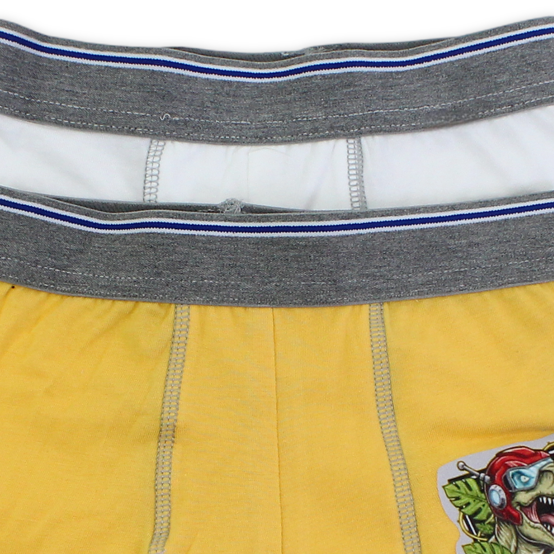 Boys Cotton Boxer – Pack Of 2